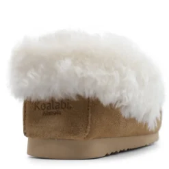 KOALABI TRAD MOCC